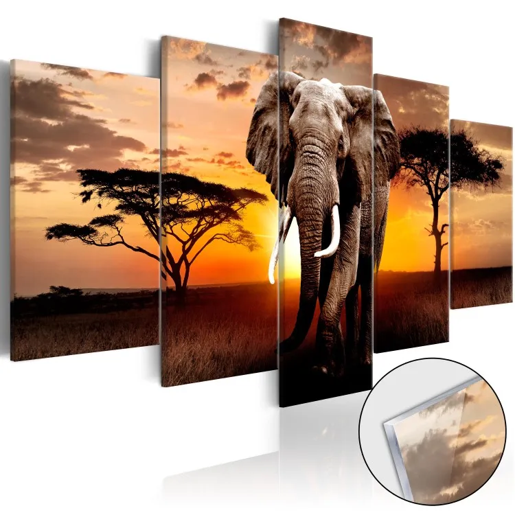 L'elefante errante