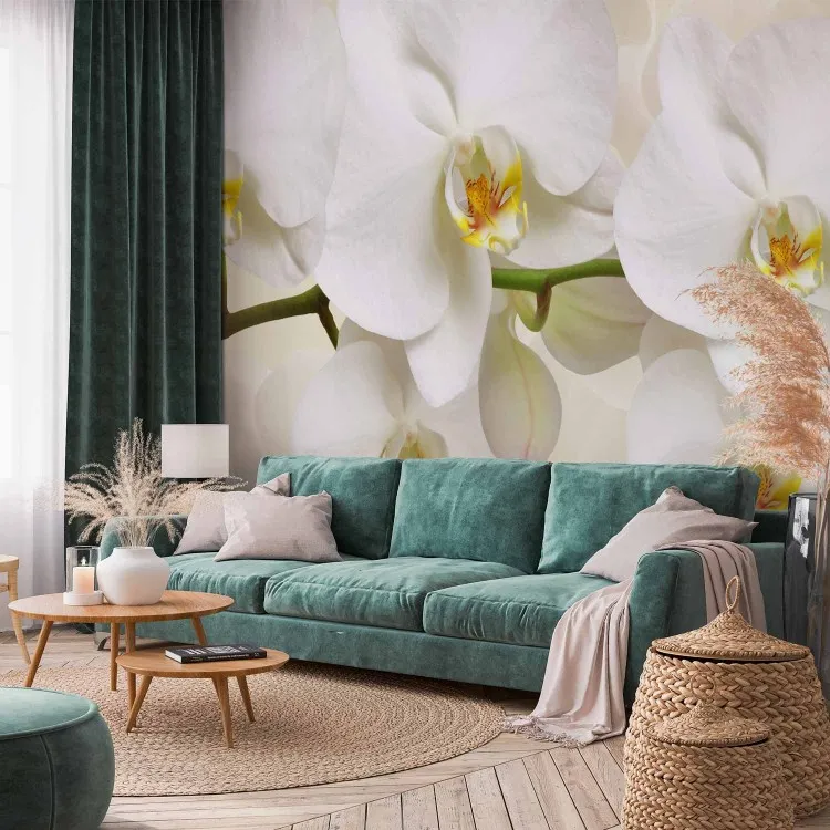 Rametto di orchidea - Composizione delicata con fiori bianchi