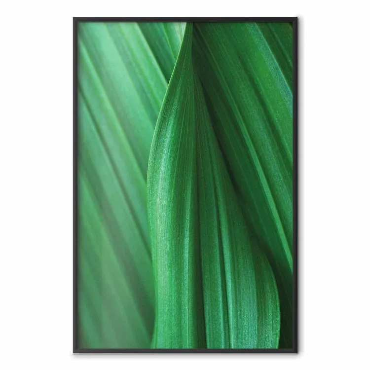 Trama foglia - composizione con motivo vegetale verde