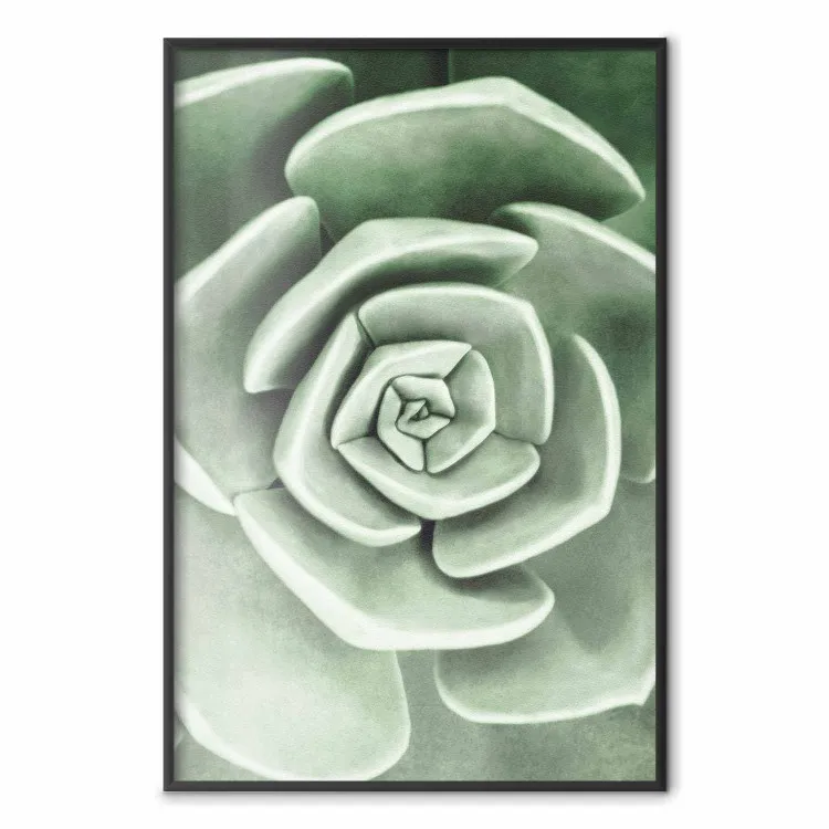 Bellissima pianta succulenta: composizione vegetale scandinava