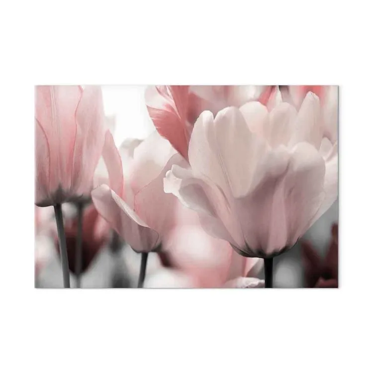 Petali primaverili (1-pezzo) - tulipano rosa in natura