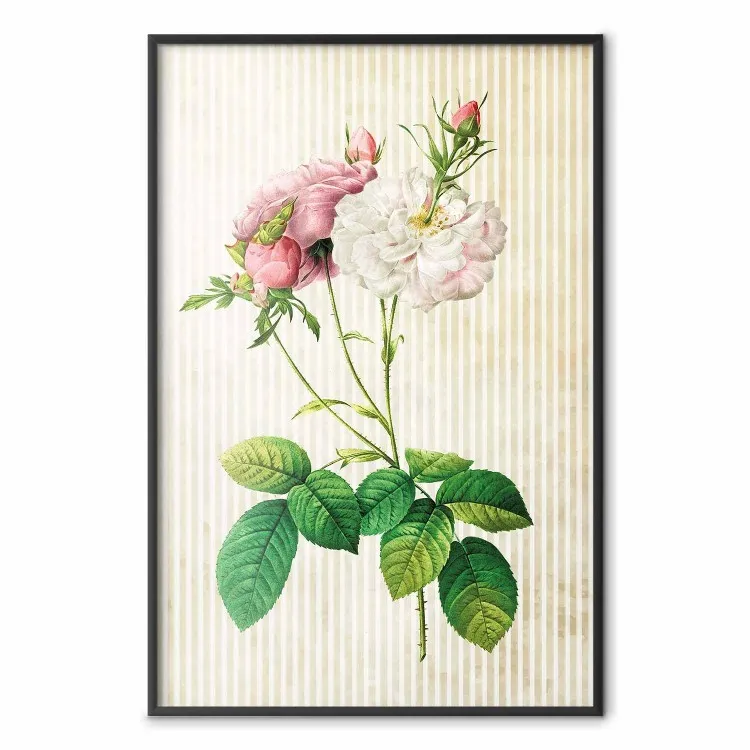 Chic floreale: composizione fiori su sfondo a strisce