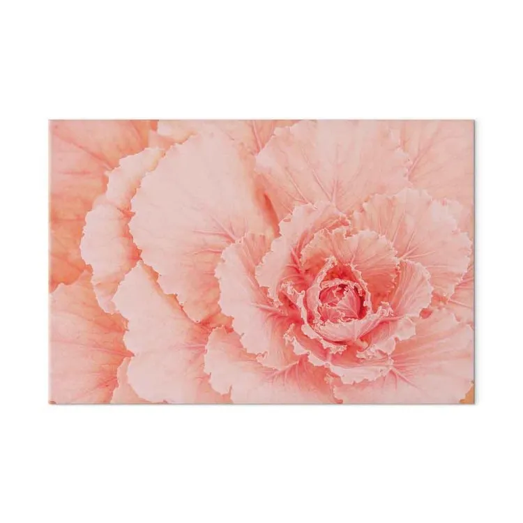 Fiore delicato - fiore in un color rosa naturale