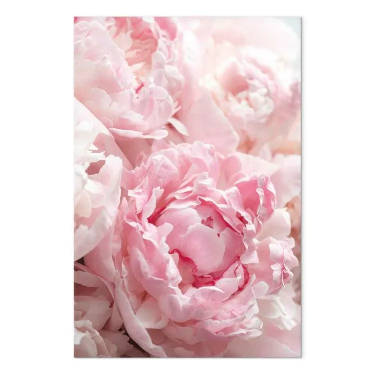 Fioritura di colori naturali (1-pezzo) - peonia in tonalità di rosa