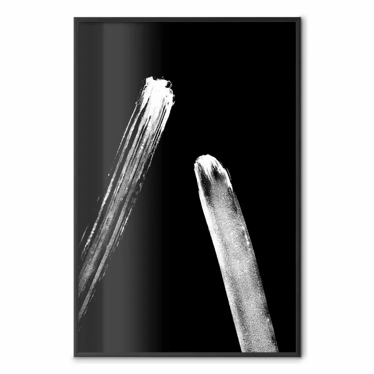 All'ombra delle palme - foglie naturali pianta tropicale su sfondo bianco