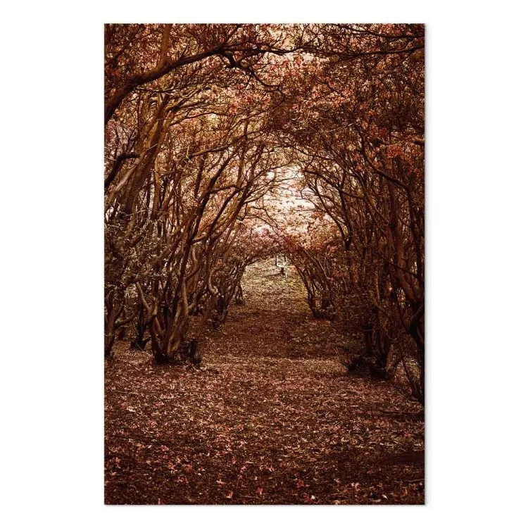 Corridoio con alberi - paesaggio autunnale coperto di foglie