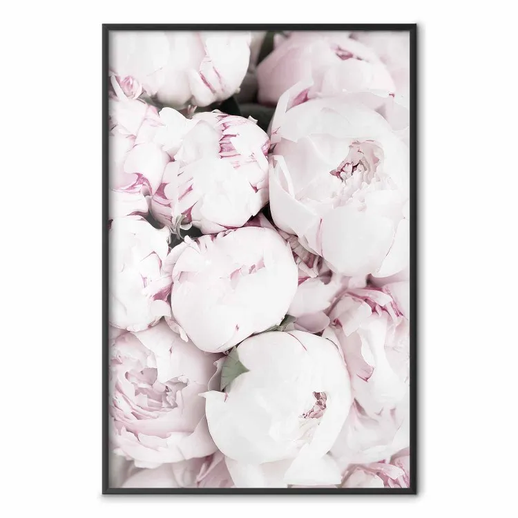Inizio estate - paesaggio di campagna con fiori delicatamente rosa