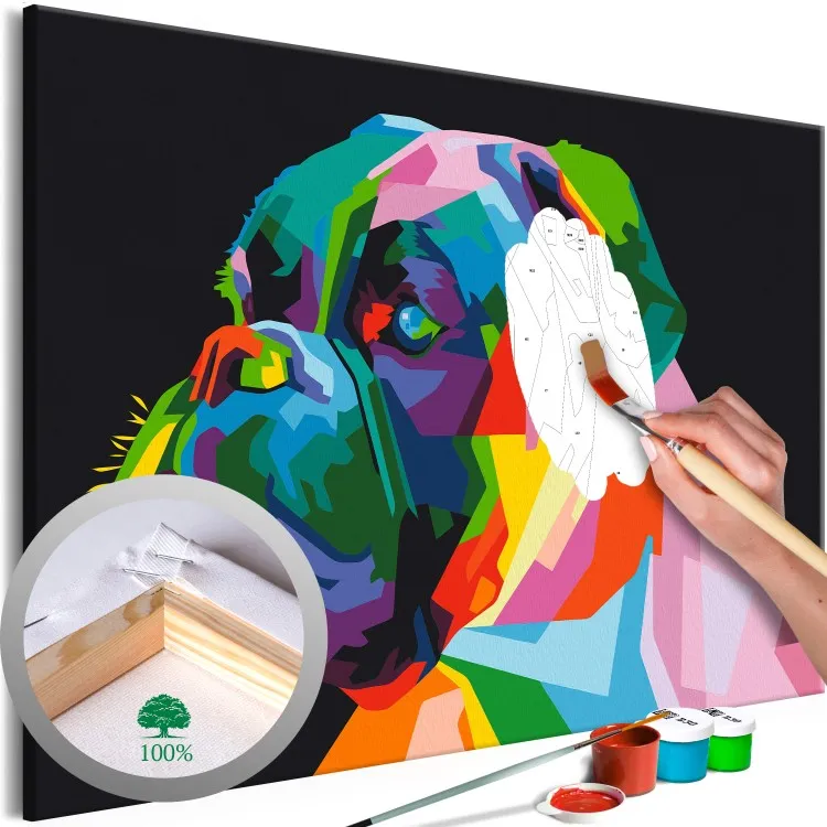 Pugile colorato