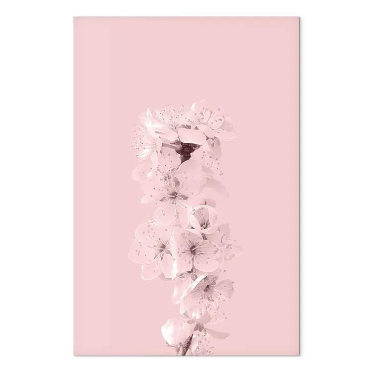 Ramo primaverile pieno di fiori di mele - composizione di piante rosa