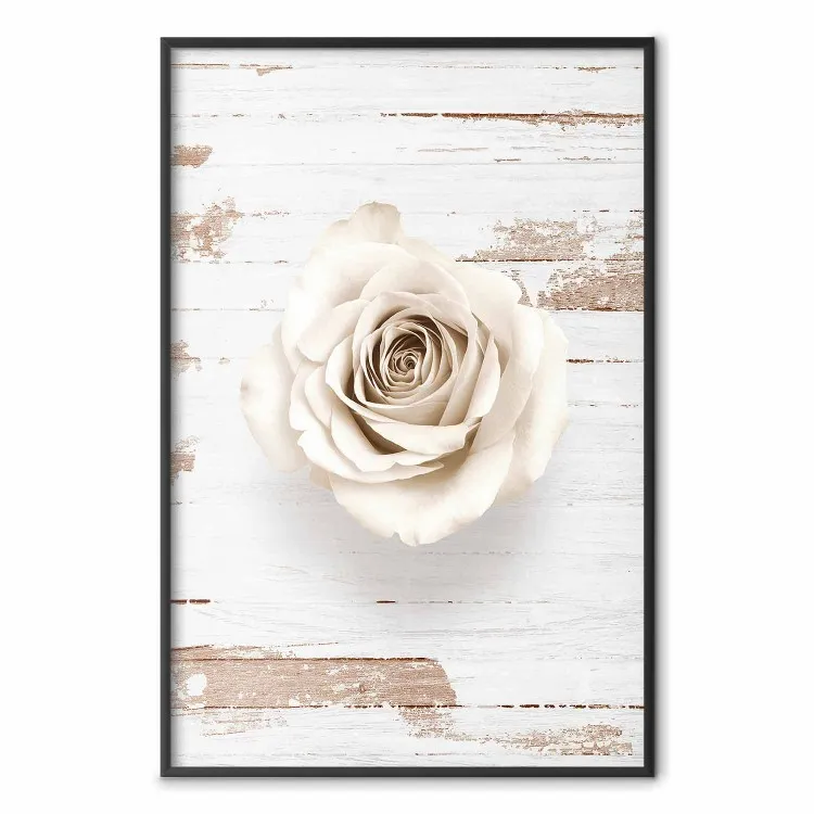 Vortice pastello - rosa bianco su sfondo di tavole di legno chiare