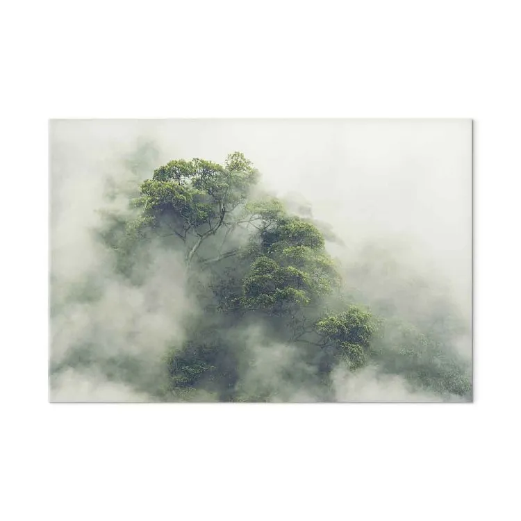 Amazzonia nebbiosa (1 pezzo) largo - paesaggio di foresta esotica