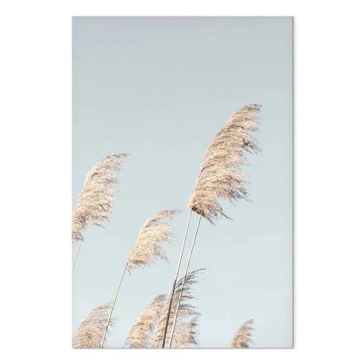 Leggerezza piumata - paesaggio di prato boho