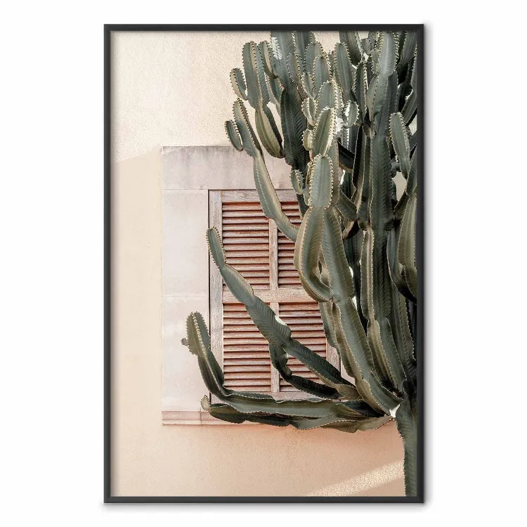 Spine verdi - composizione con pianta tropicale