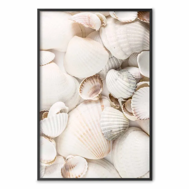 Collezione marittima