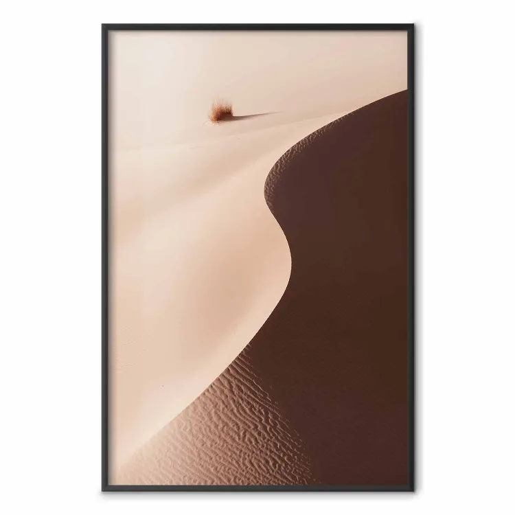 Serpentina - tranquillo paesaggio di dune nel deserto