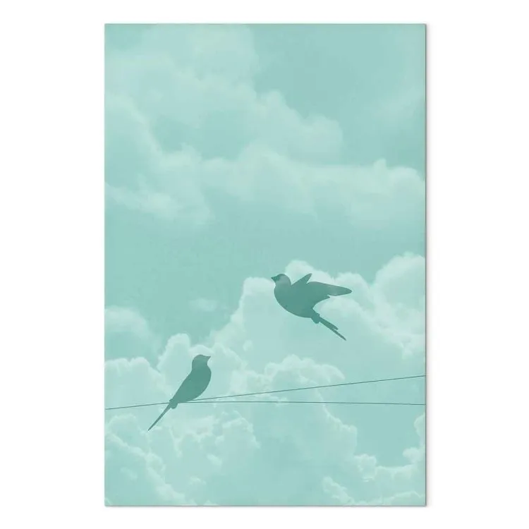 Ombra del volo - paesaggio di uccelli