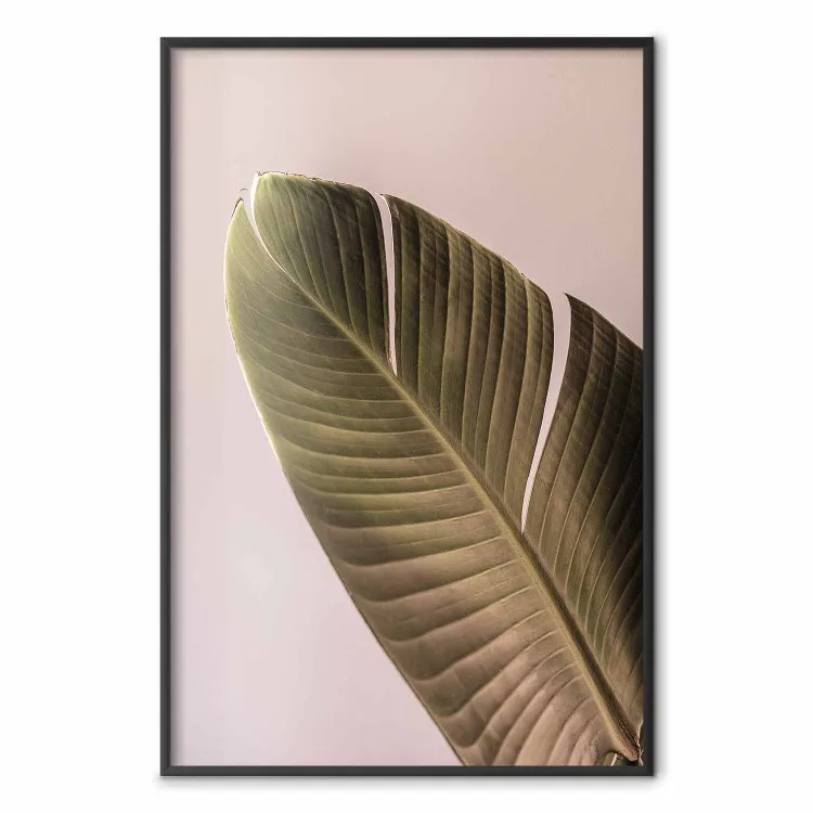 Atmosfera bananosa - foglia tropicale di banano su sfondo rosa