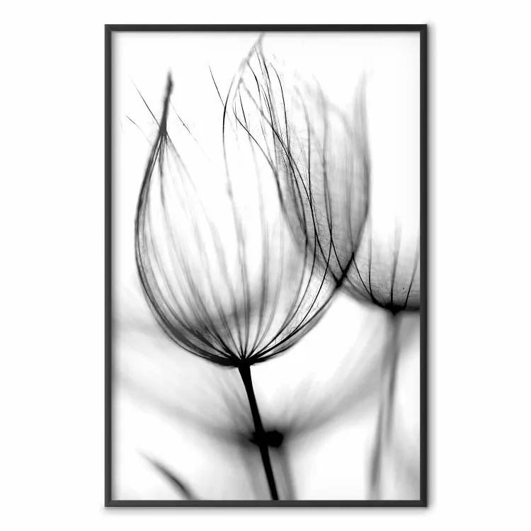 Dente di leone nel vento