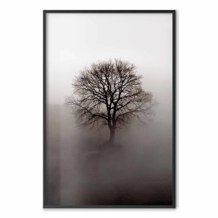 La forza dormiente dell'albero - albero spoglio nella nebbia