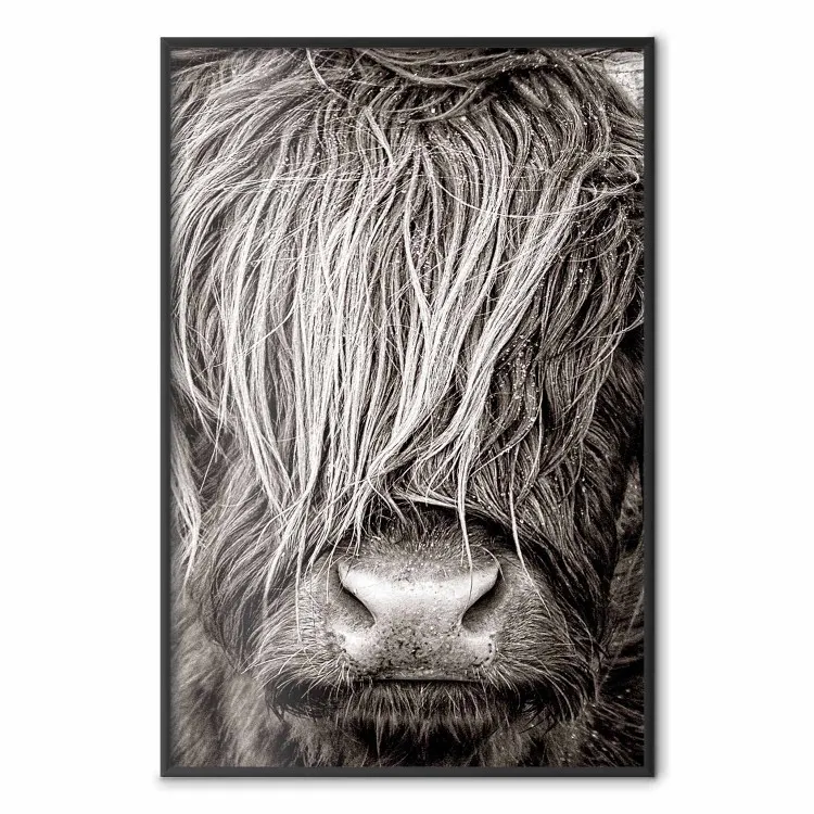Faccia a faccia con la natura - ritratto di animale in bianco e nero