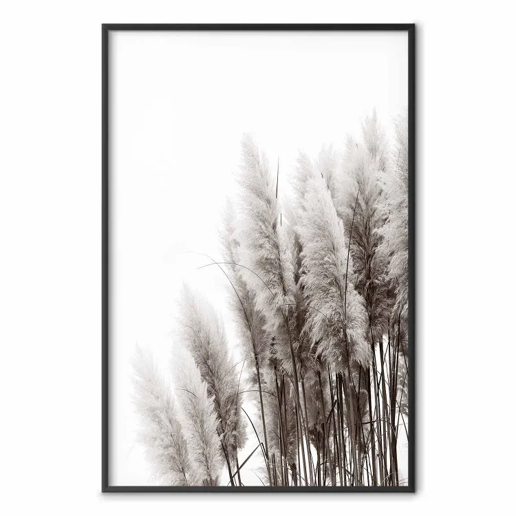 In attesa del vento - piante in paesaggio monocromatico