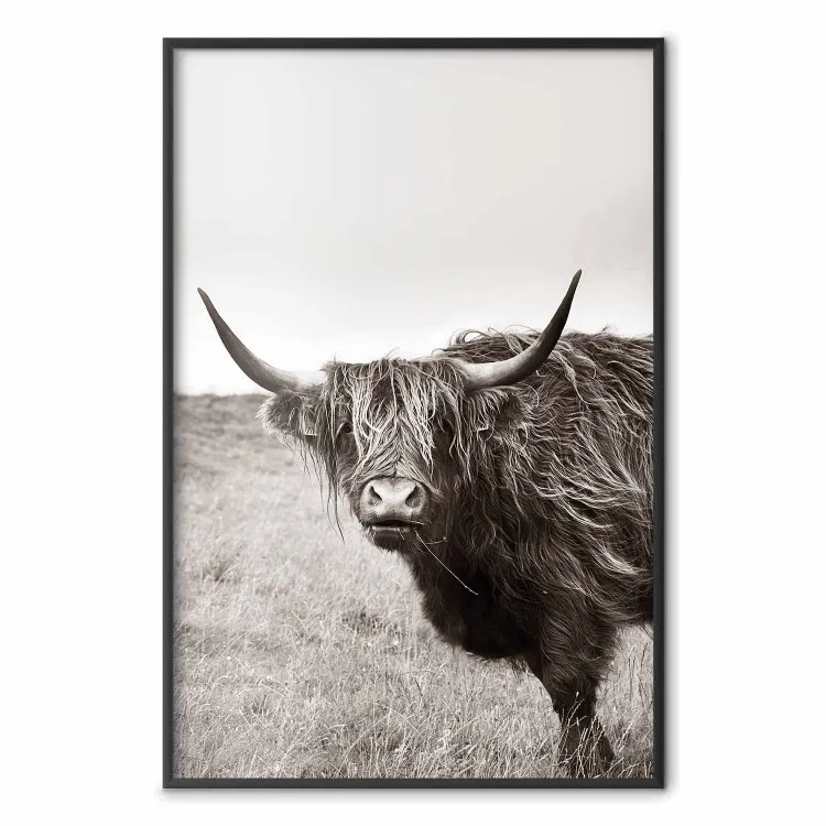 Eterno - animale con lunghi capelli su sfondo di campo e cielo chiaro