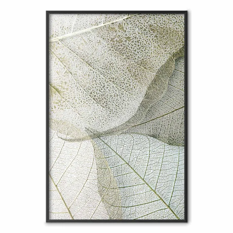 Configurazione fogliare - composizione fogliare con una chiara texture