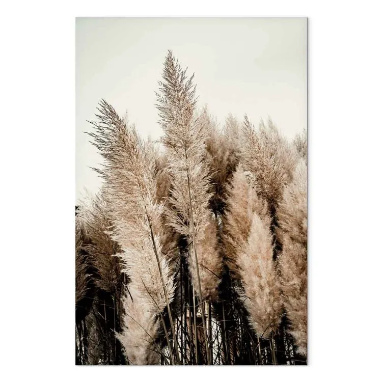 Piuma dei Sogni (1 pannello) - paesaggio autunnale boschivo