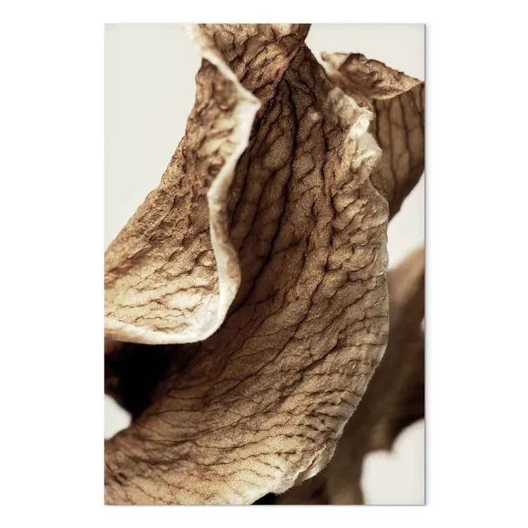 Danze del Vento (1 pannello) - foglie in stile boho