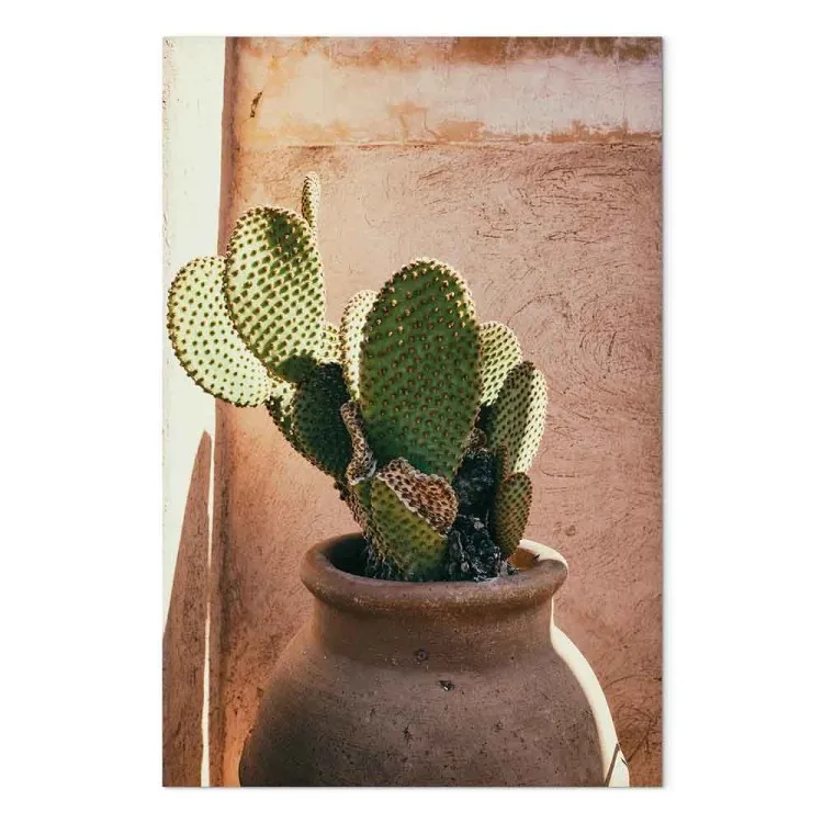 Cactus in vaso (1-pezzo) verticale - pianta verde in Marocco