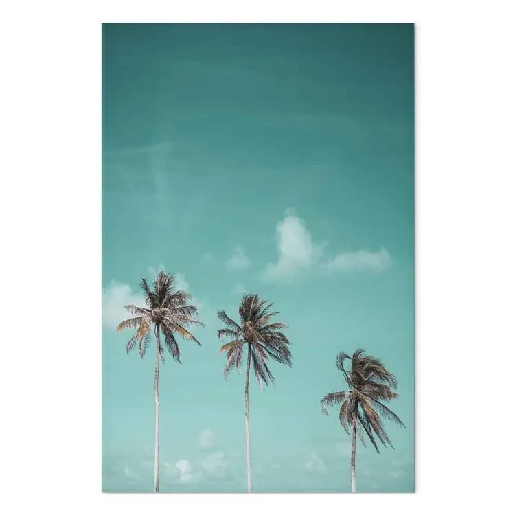 Tre palme - Immagine di tre alberi su un cielo blu