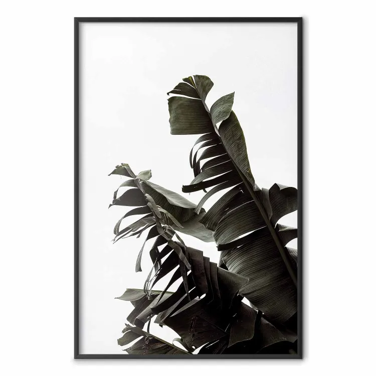 Bouquet tropicale - foglie verdi su sfondo bianco