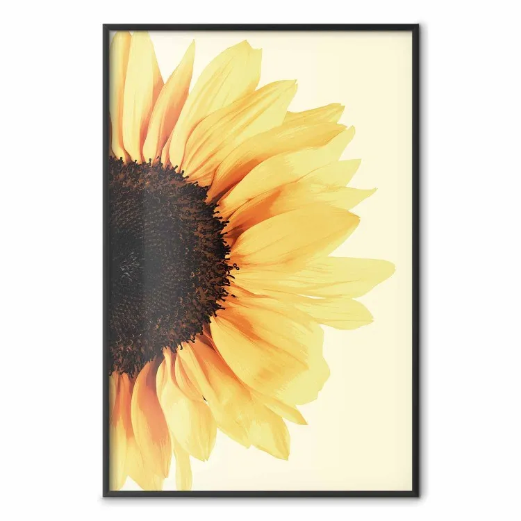 Più vicino al sole - girasole su sfondo giallo