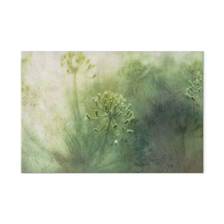 Fiori nella nebbia - grafica  verde e vegetazione selvatica