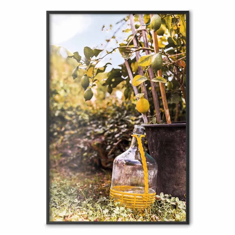 Raccolto di limoni - vista su piante fiorite