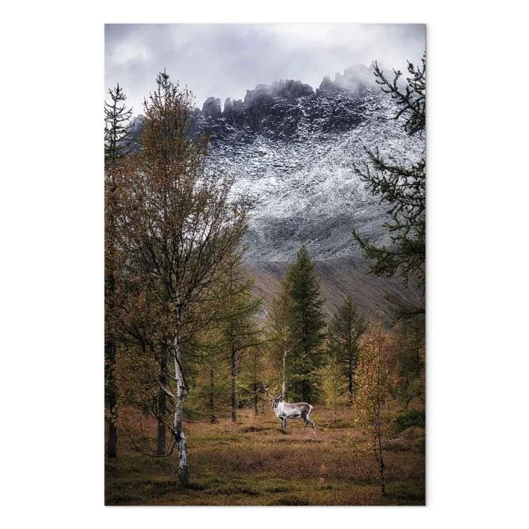 Ospite autunnale (1 pezzo) - paesaggio boschivo montagne