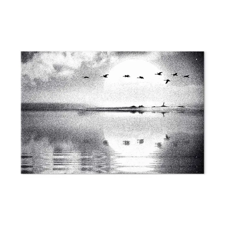 Volo degli uccelli sul lago (1 parte) - paesaggio in bianco e nero