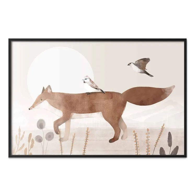 Volpe e uccelli erranti - animali notte
