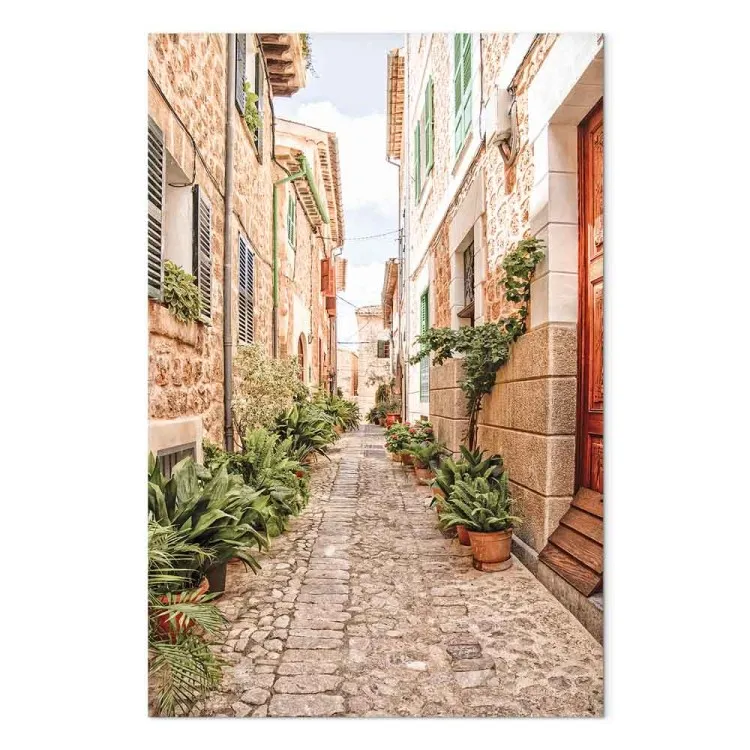 Calle tranquila (1 parte) - vista sulla città spagnola e piante