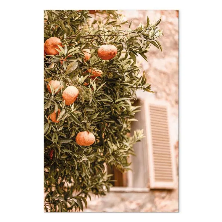 Frutti urbani (1 parte) - albero di mandarino su sfondo di edificio