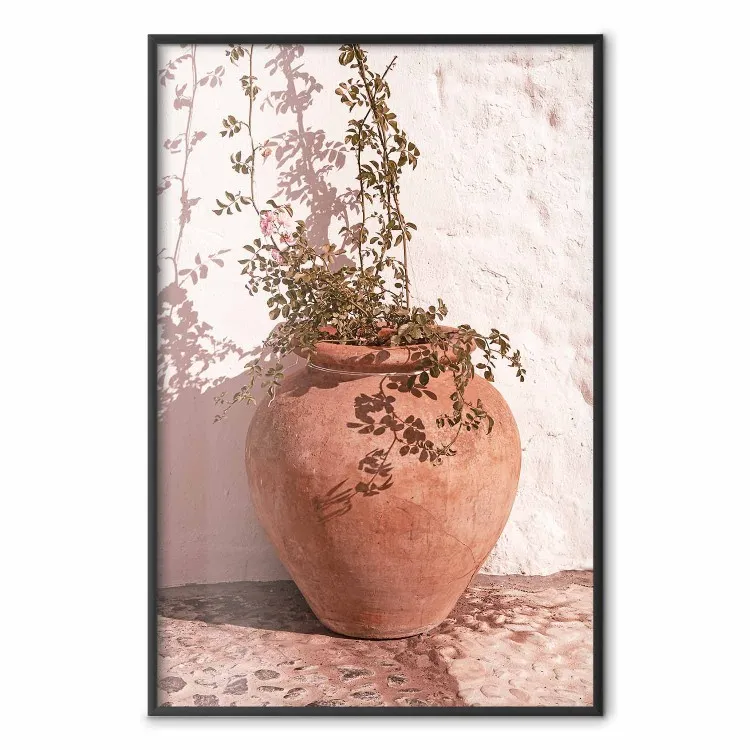 Fiori in una brocca - pianta che cresce da un vaso di argilla