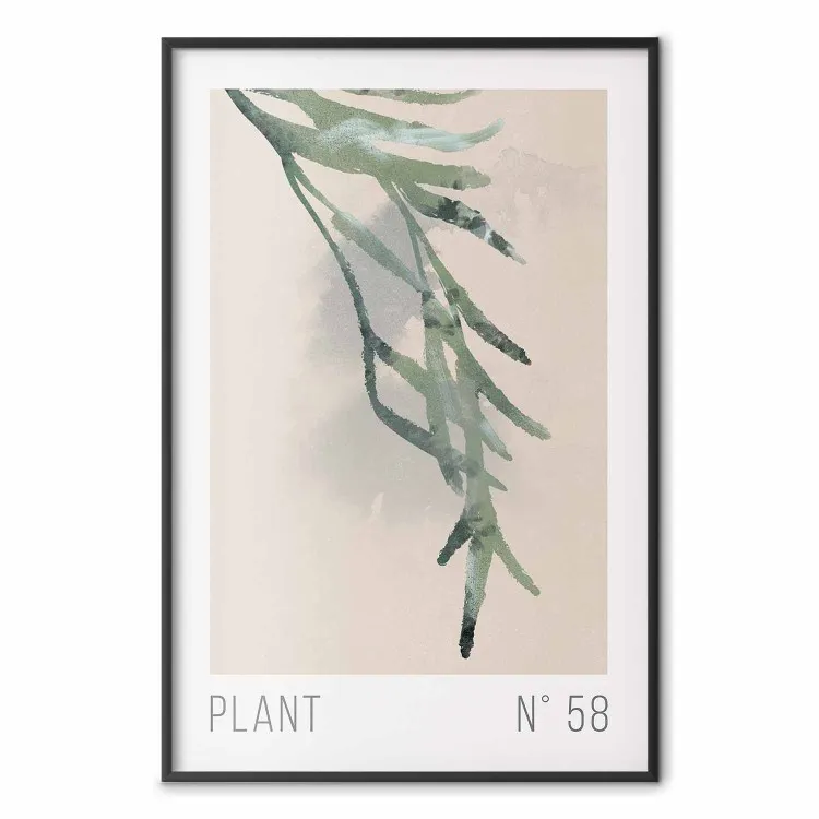 Pianta numero 58