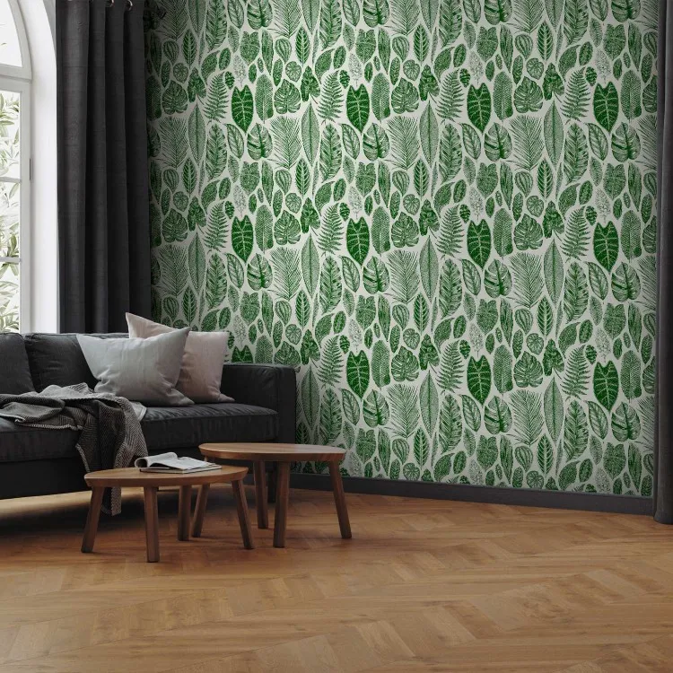 Natura verde - foglie di diverse specie e dimensioni su sfondo bianco