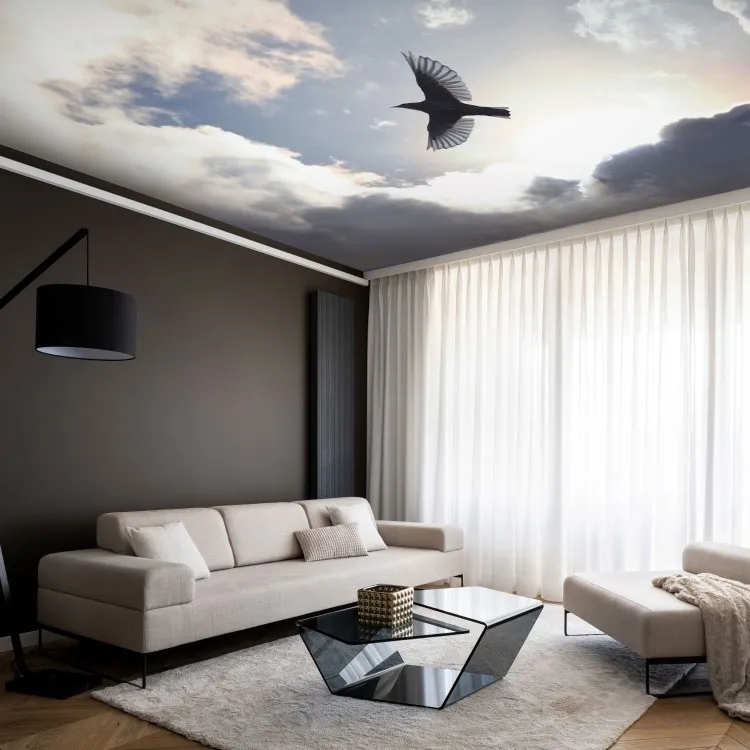 Flying Bird - Flight Against the Sky With Clouds and Sunshine