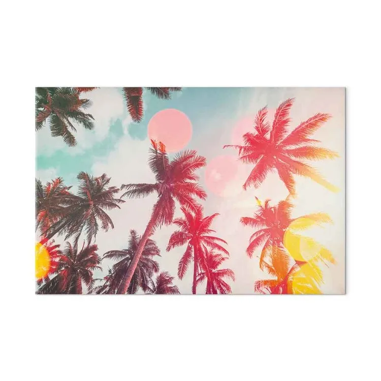 Palme alla luce - alberi tropicali alla luce del sole