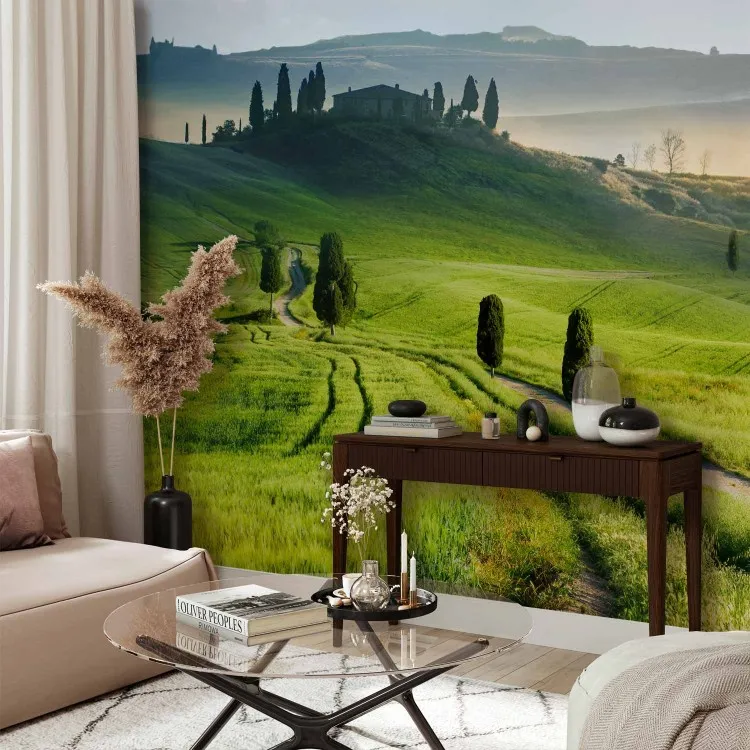 Toscana italiana - paesaggio naturale di un villaggio con alberi
