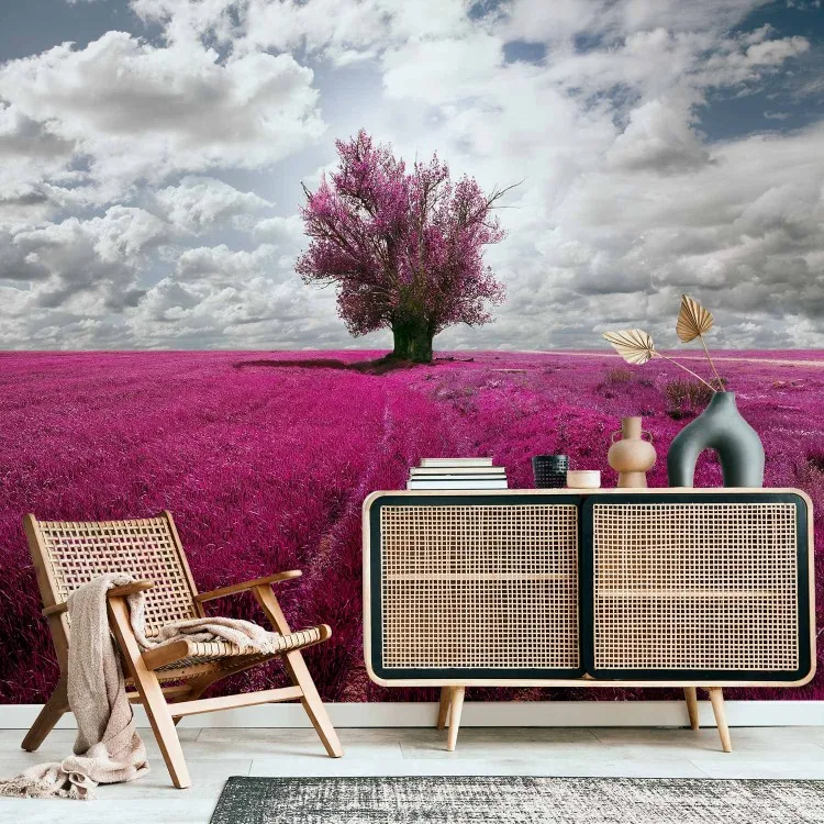 Prato colore fuchsia