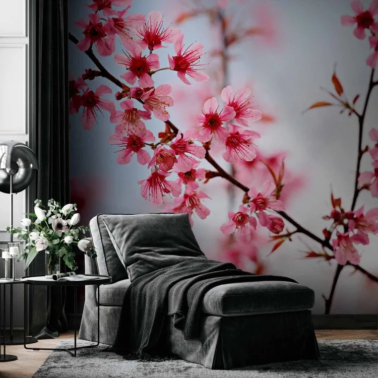 Simbolo del Giappone - fiori di ciliegio Sakura