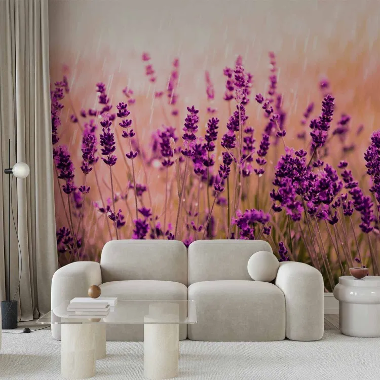 Lavanda sotto la pioggia - paesaggio di prato con fiori viola